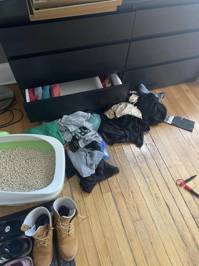 Pets Are Chaos (18 pics)