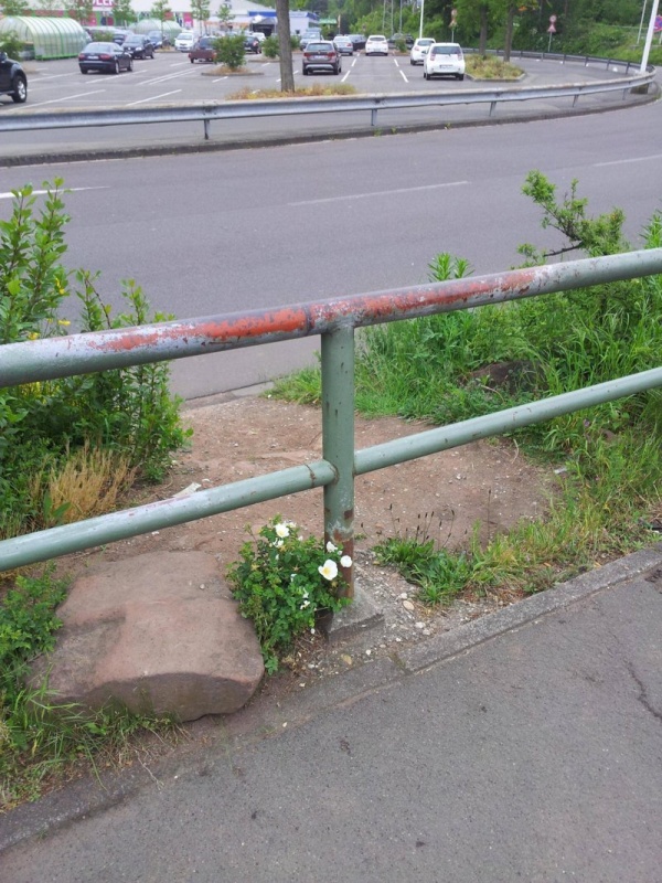 Time Changes Everything (17 pics)