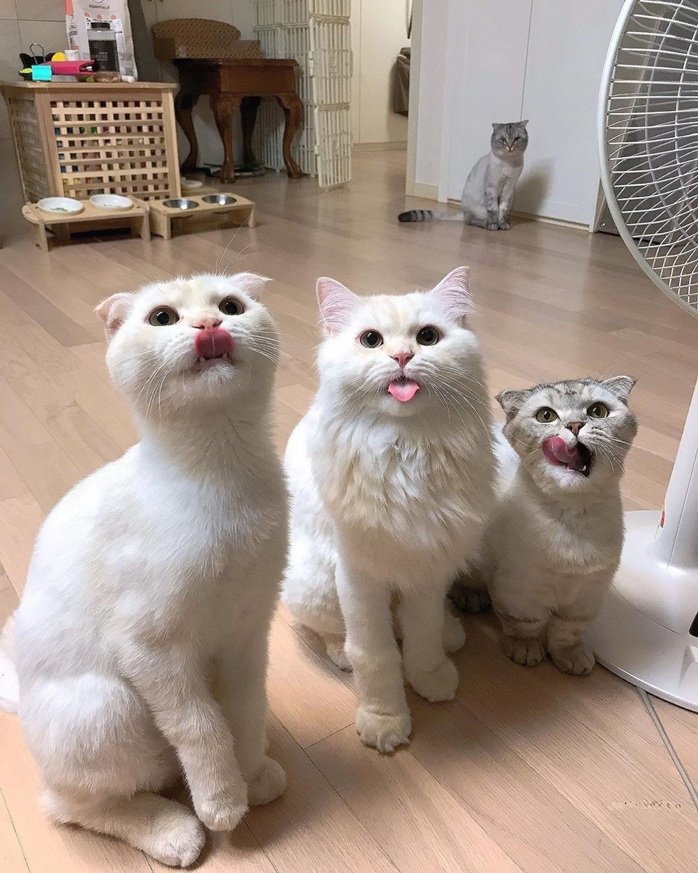 Daily Pictures. Part 2 (61 pics)