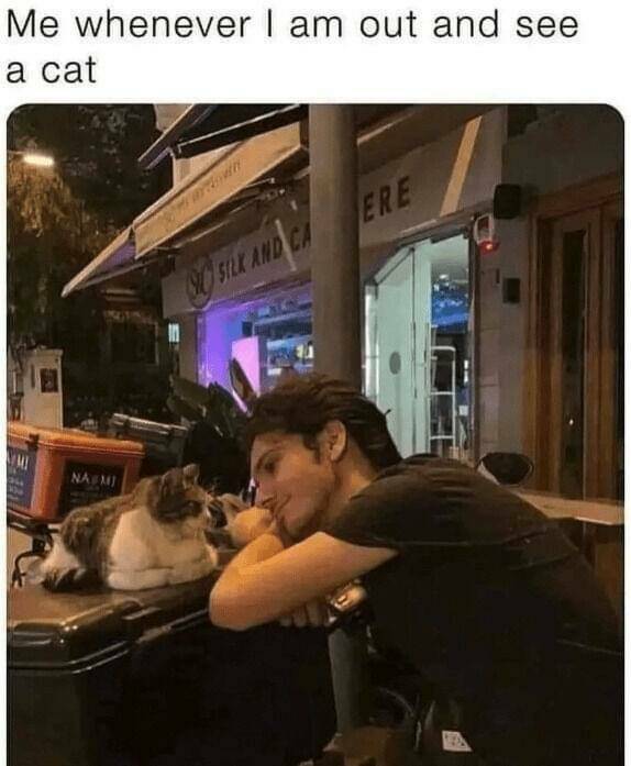 Daily Pictures. Part 2 (61 pics)