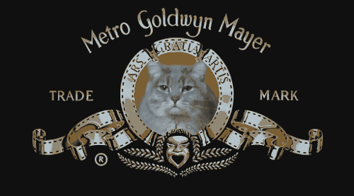 Acid GIFs, September 29 (25 gifs)