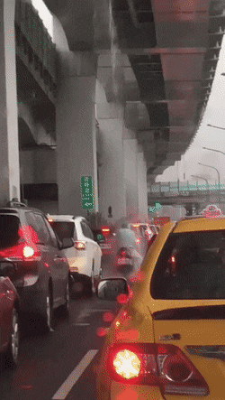 Acid GIFs, September 29 (25 gifs) Acid GIFs, September 29 (25 gifs)