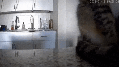 Acid GIFs, September 29 (25 gifs) Acid GIFs, September 29 (25 gifs)