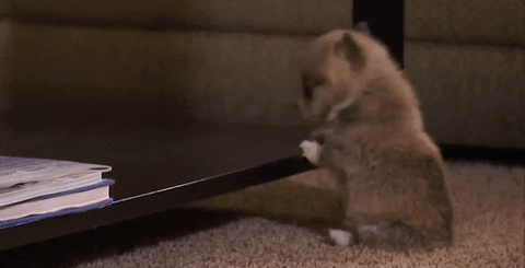Acid GIFs, September 29 (25 gifs) Acid GIFs, September 29 (25 gifs)