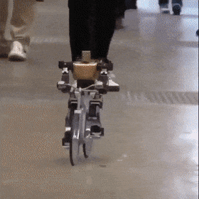 Acid GIFs, September 29 (25 gifs) Acid GIFs, September 29 (25 gifs)
