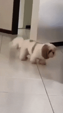 Acid GIFs, September 29 (25 gifs) Acid GIFs, September 29 (25 gifs)