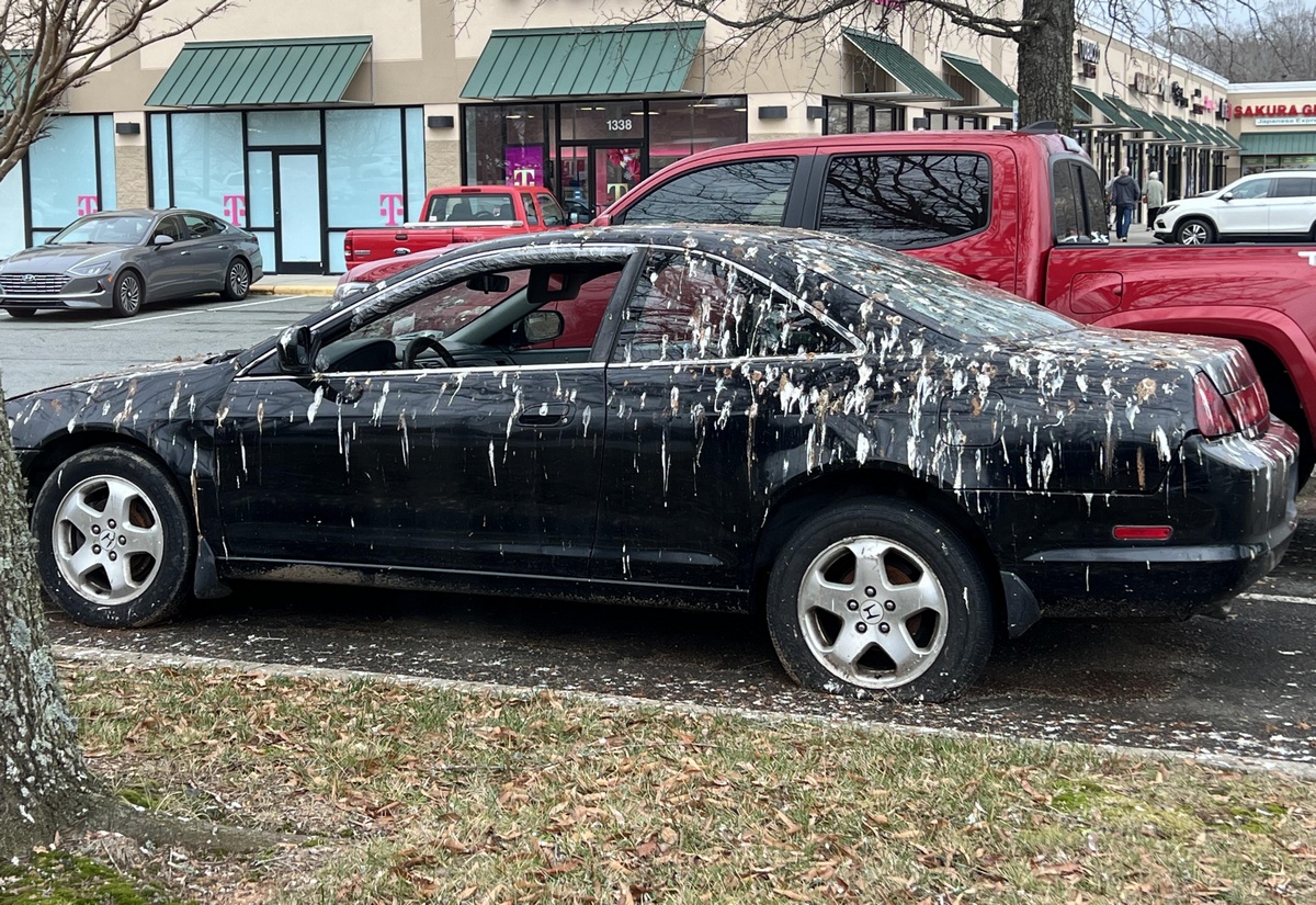 Bad Days Happen (29 pics)