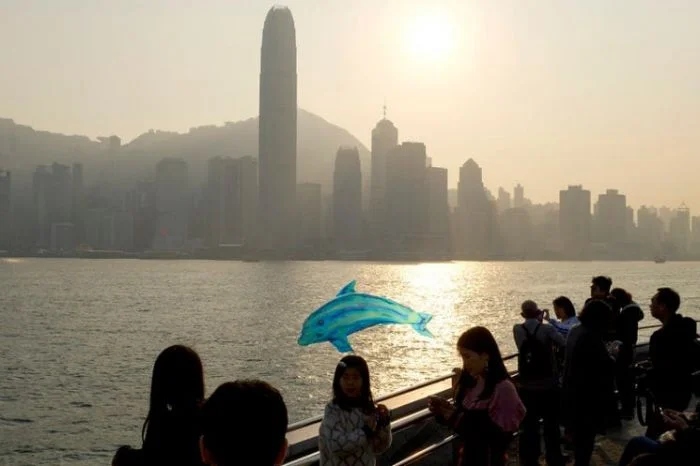 Unexpected Coincidences (16 pics)