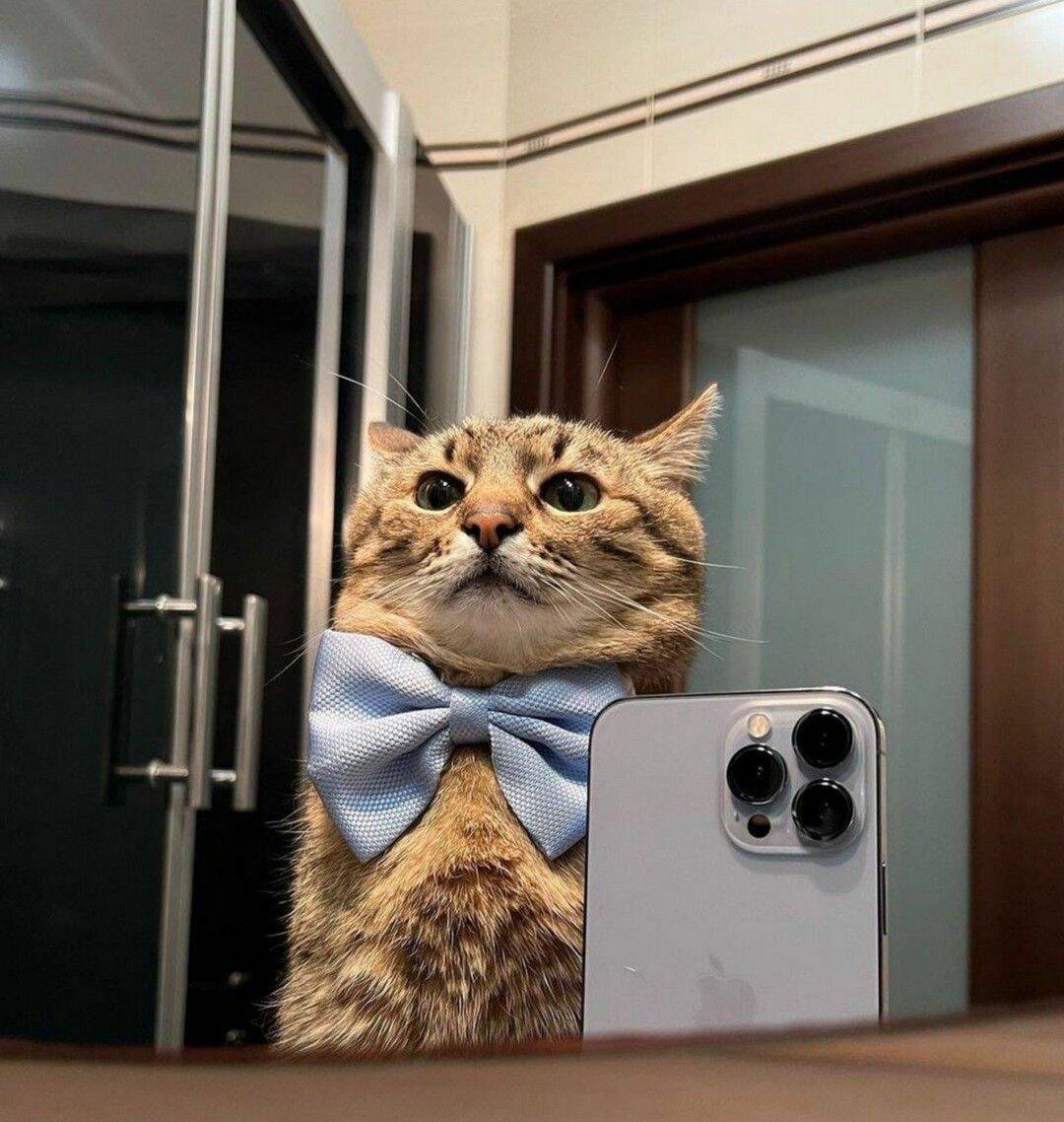 Daily Pictures. Part 1 (64 pics)