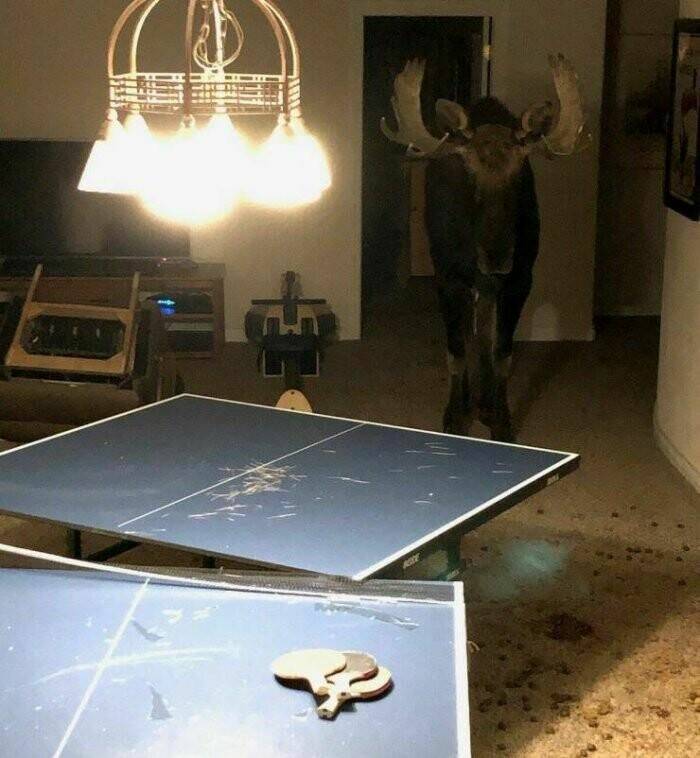 Daily Pictures. Part 2 (63 pics)