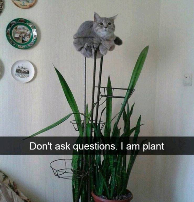 Daily Pictures. Part 2 (63 pics)