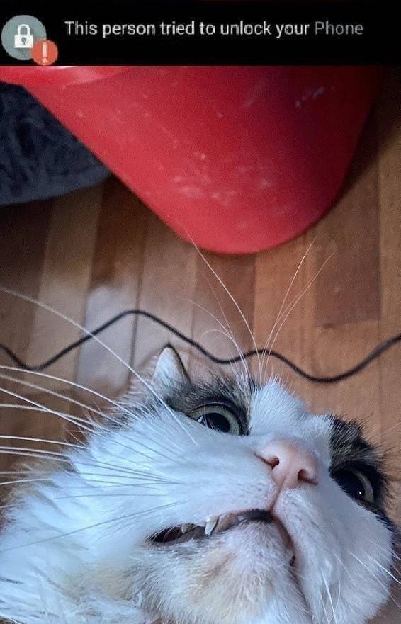 Daily Pictures. Part 2 (63 pics)