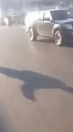 Acid GIFs, September 30 (25 gifs) Acid GIFs, September 30 (25 gifs)