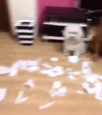 Acid GIFs, September 30 (25 gifs)