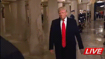 Acid GIFs, September 30 (25 gifs) Acid GIFs, September 30 (25 gifs)