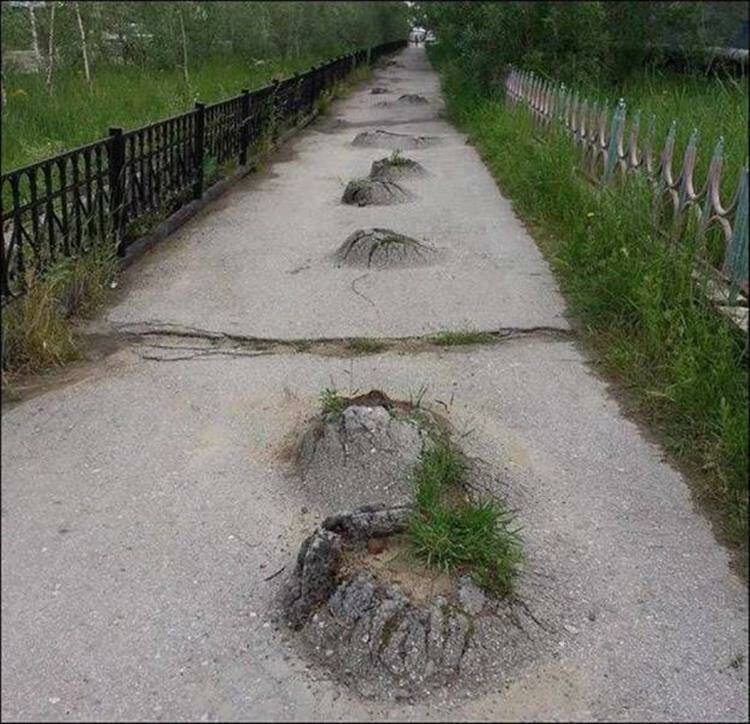 Daily Pictures. Part 1 (64 pics)