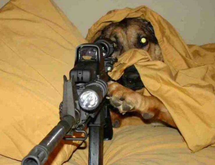 Daily Pictures. Part 2 (63 pics)