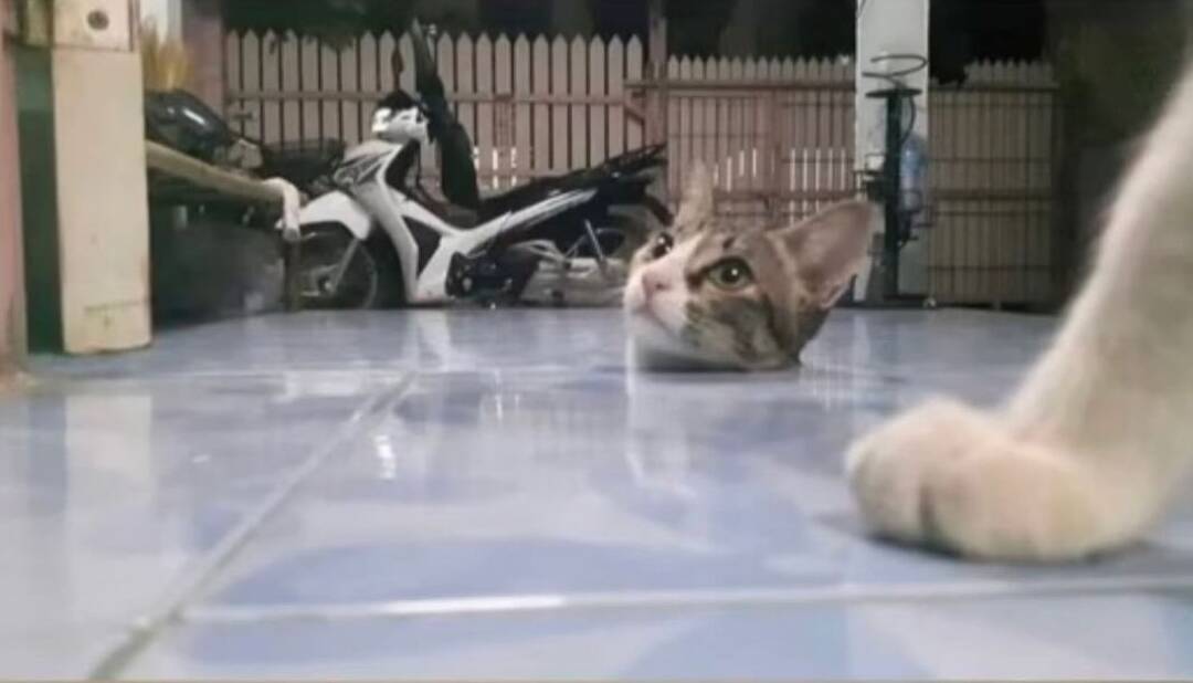 Daily Pictures. Part 2 (63 pics)