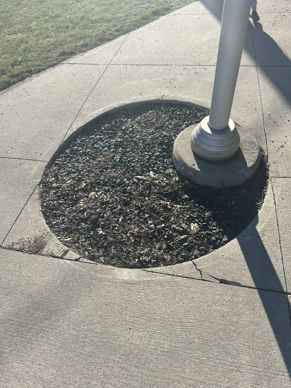 Daily Pictures. Part 2 (63 pics)