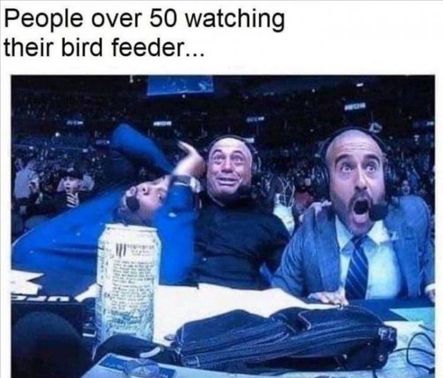 Daily Pictures. Part 2 (63 pics)