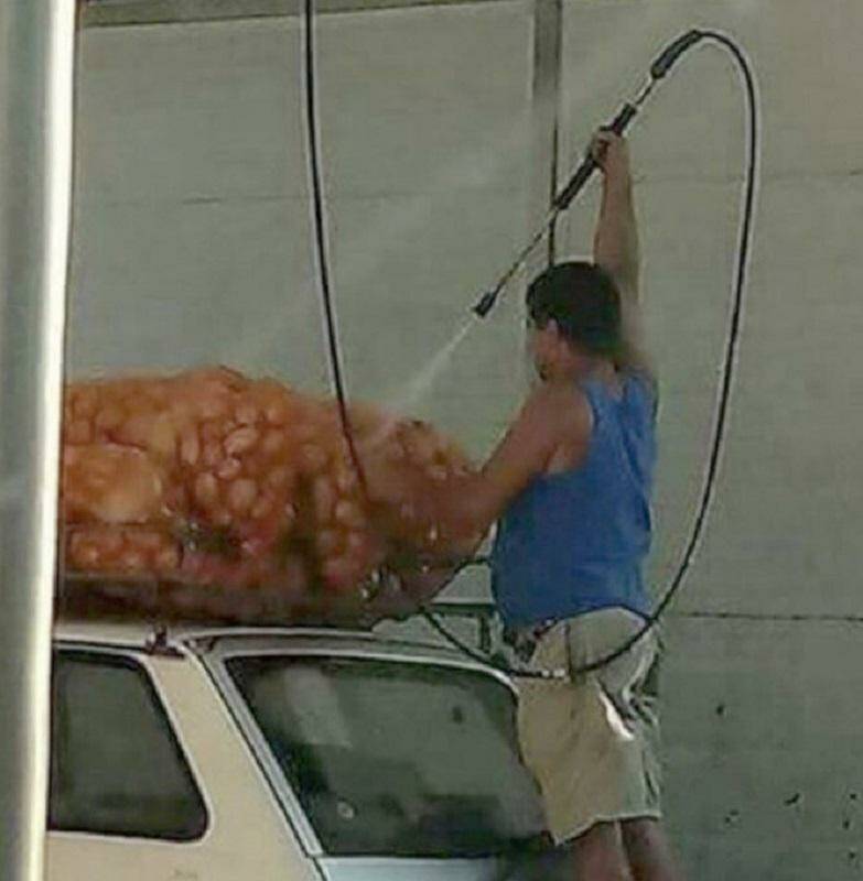 Daily Pictures. Part 2 (63 pics)