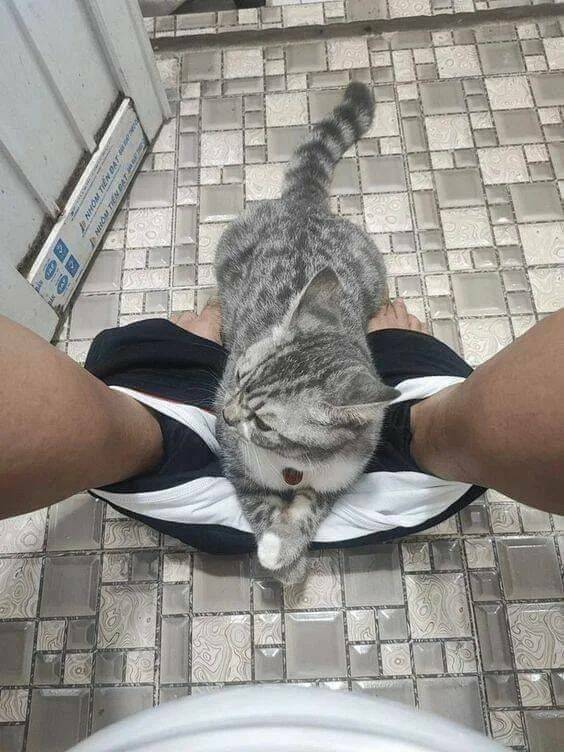 Daily Pictures. Part 2 (63 pics)