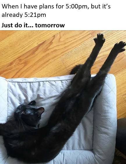 Daily Pictures. Part 2 (63 pics)