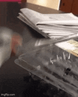 Acid GIFs, October 1 (25 gifs) Acid GIFs, October 1 (25 gifs)