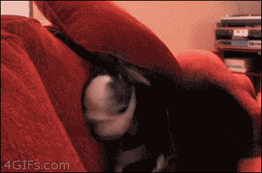 Acid GIFs, October 1 (25 gifs) Acid GIFs, October 1 (25 gifs)