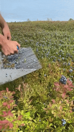 1759257202_20.gif