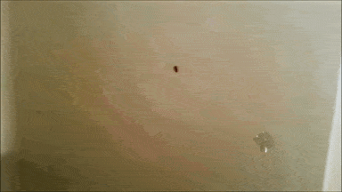 Acid GIFs, October 1 (25 gifs) Acid GIFs, October 1 (25 gifs)