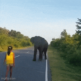 Acid GIFs, October 1 (25 gifs) Acid GIFs, October 1 (25 gifs)