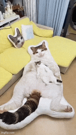 Acid GIFs, October 1 (25 gifs)