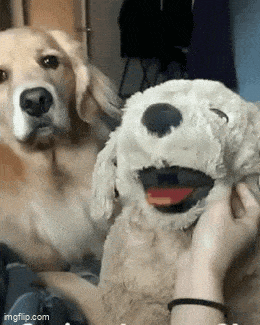 1759257228_22.gif
