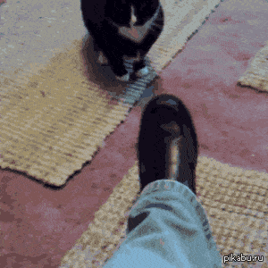 Acid GIFs, October 1 (25 gifs) Acid GIFs, October 1 (25 gifs)