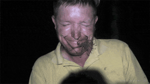 Acid GIFs, October 1 (25 gifs) Acid GIFs, October 1 (25 gifs)