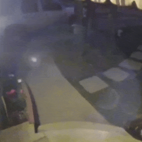 Acid GIFs, October 1 (25 gifs) Acid GIFs, October 1 (25 gifs)