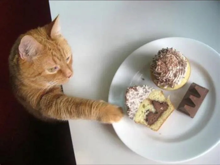 Sweet Criminals (20 pics)