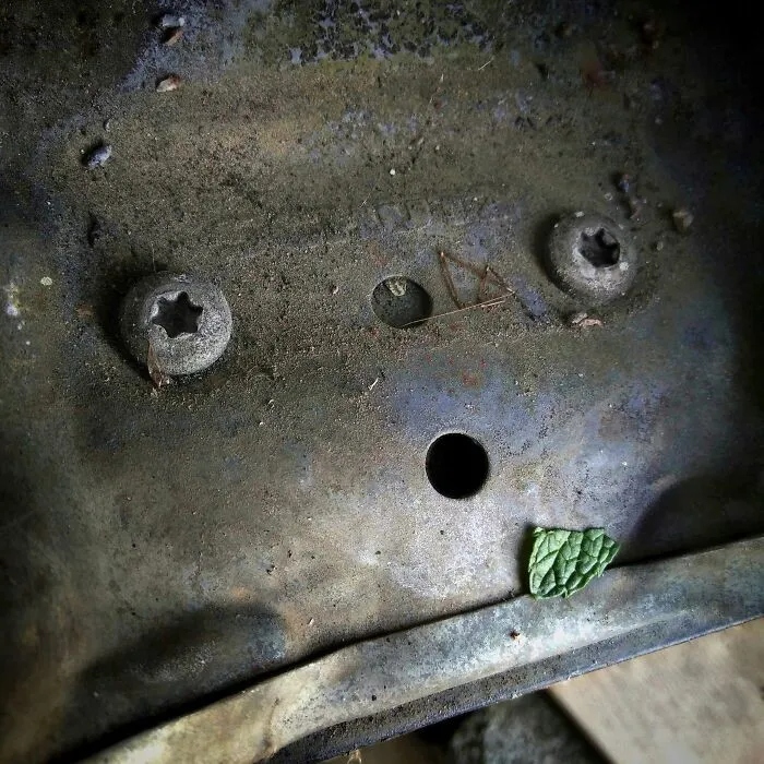 Funny Pareidolia (21 pics)