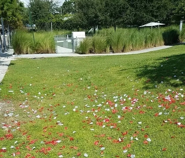 Annoying Situations (14 pics)