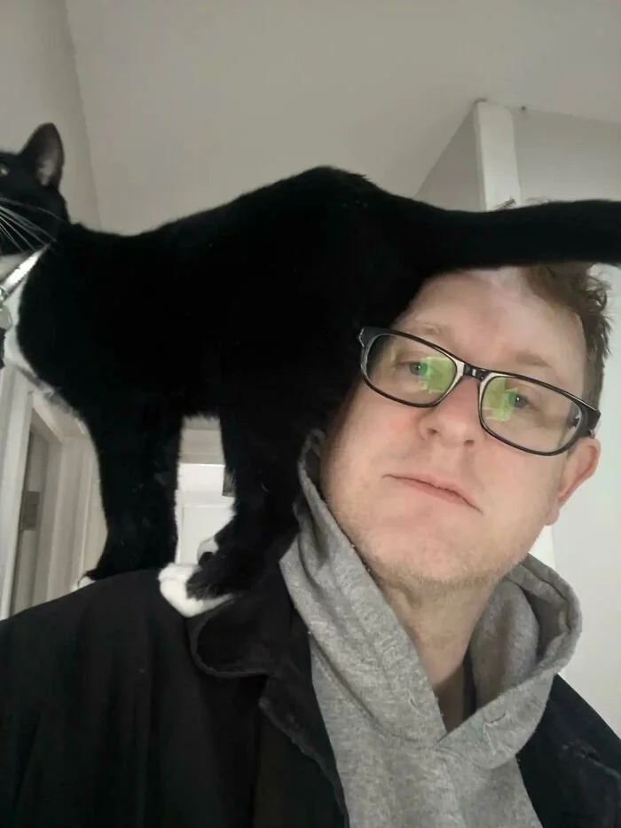 Funny Pets (21 pics)