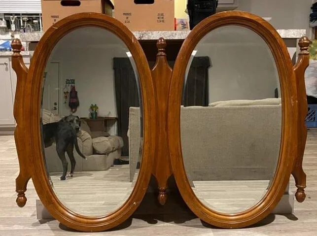 They Are Trying To Sell A Mirror (21 pics)