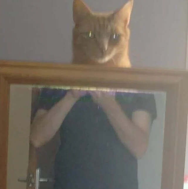 They Are Trying To Sell A Mirror (21 pics)