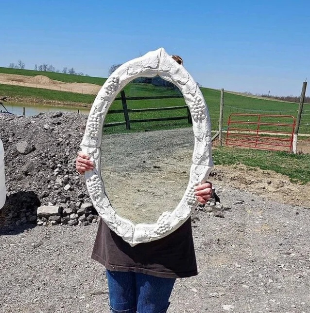 They Are Trying To Sell A Mirror (21 pics)