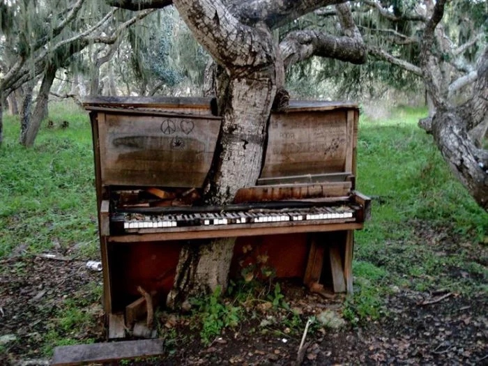The Power Of Nature (16 pics)