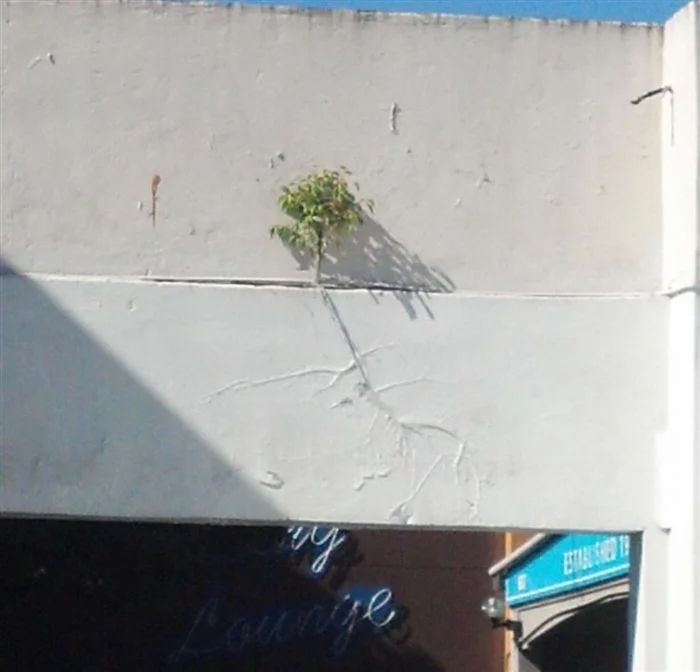 The Power Of Nature (16 pics)