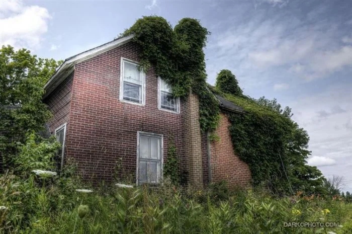 The Power Of Nature (16 pics)