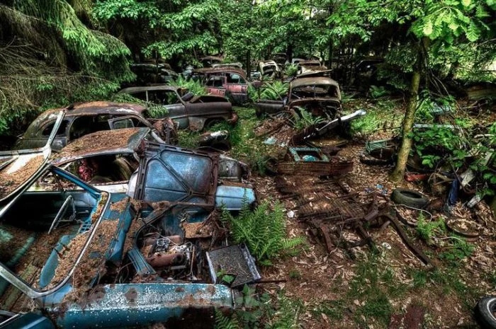 The Power Of Nature (16 pics)