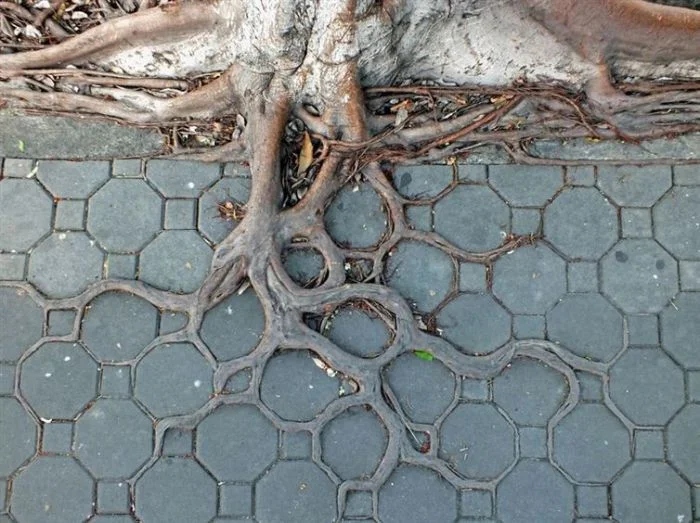 The Power Of Nature (16 pics)