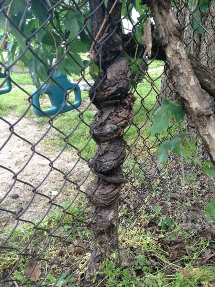 The Power Of Nature (16 pics)